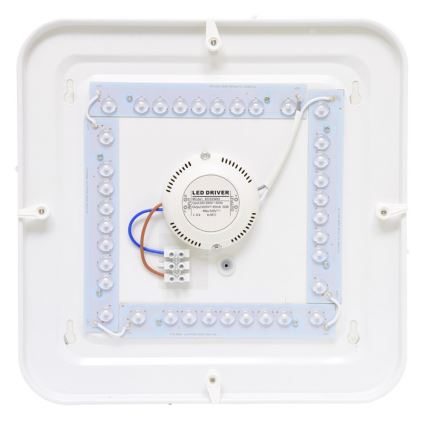 Plafoniera LED da esterno LUKA LED/42W/230V IP44