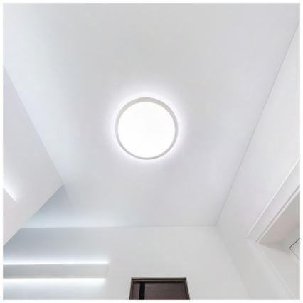 Plafoniera LED per bagno DEFENDER LED/12/18/24W/230V 3000/4000/6500K IP65 Ø 30 cm bianco