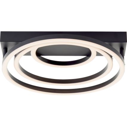 Plafoniera LED dimmerabile Brilliant PEDLEY LED/36W/230V nera
