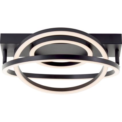 Plafoniera LED dimmerabile Brilliant PEDLEY LED/36W/230V nera