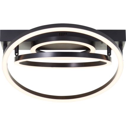 Plafoniera LED dimmerabile Brilliant PEDLEY LED/36W/230V nera