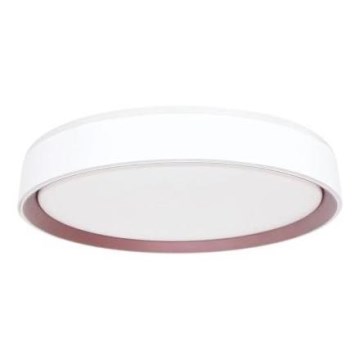 Plafoniera LED dimmerabile con controllo vocale OPAL LED/48W/230V 2700-6500K bianco + telecomando
