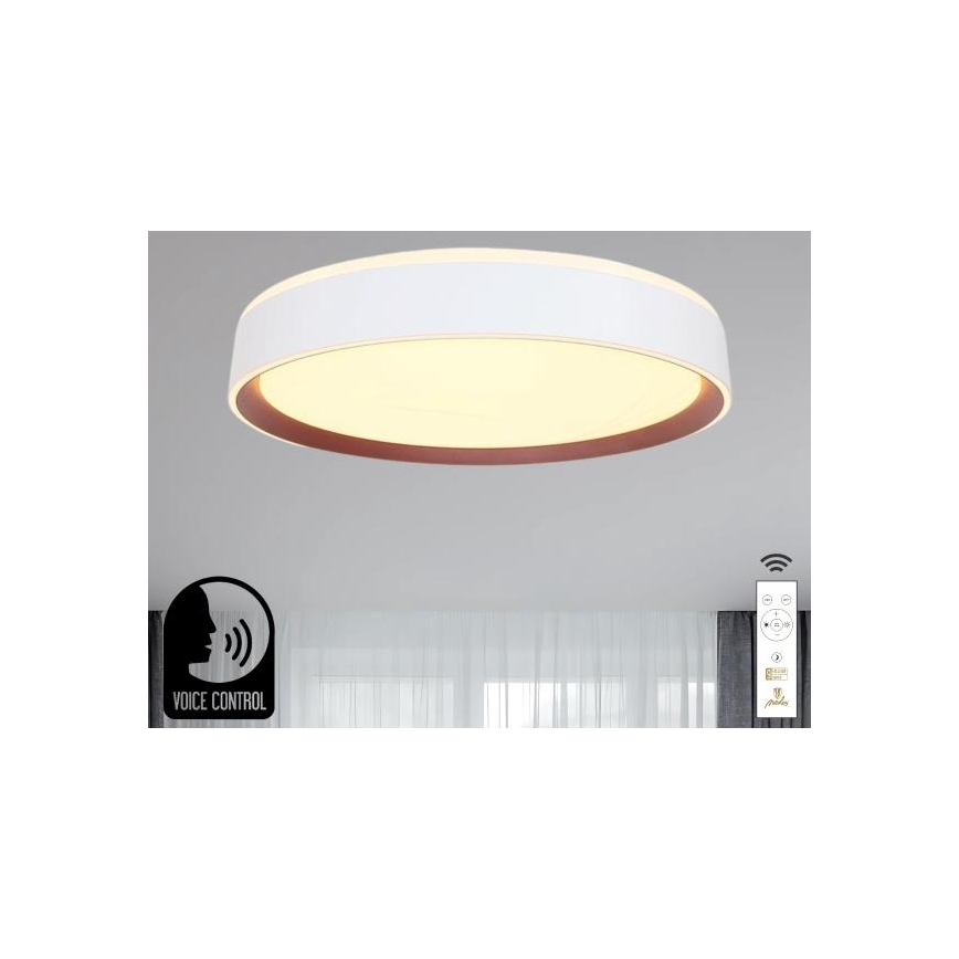 Plafoniera LED dimmerabile con controllo vocale OPAL LED/48W/230V 2700-6500K bianco + telecomando