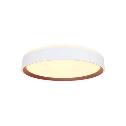 Plafoniera LED dimmerabile con controllo vocale OPAL LED/48W/230V 2700-6500K bianco + telecomando