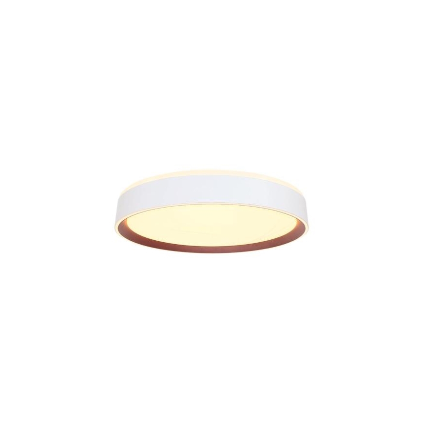 Plafoniera LED dimmerabile con controllo vocale OPAL LED/48W/230V 2700-6500K bianco + telecomando