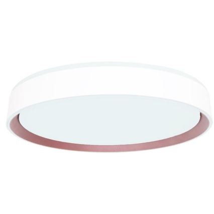 Plafoniera LED dimmerabile con controllo vocale OPAL LED/48W/230V 2700-6500K bianco + telecomando