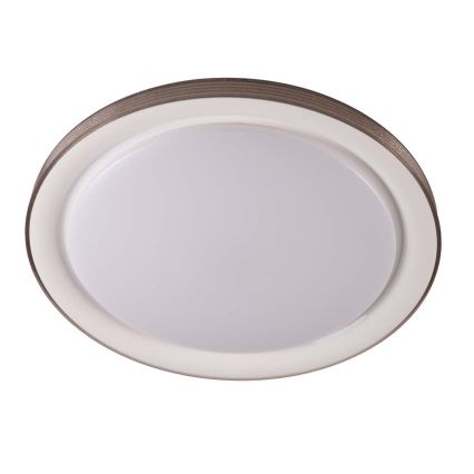 Plafoniera LED dimmerabile da bagno GRAŻYNA LED/72W/230V 3000-6000K diametro 51 cm IP44 grigio + telecomando