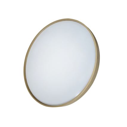 Plafoniera LED dimmerabile DRINA LED/36W/230V 2700-6500K diametro 50 cm + telecomando