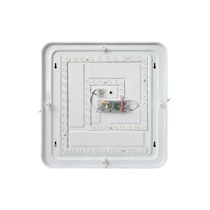 Plafoniera LED dimmerabile FLORA LED/36W/230V 2700-6500K 43x43 cm + telecomando