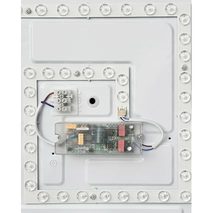 Plafoniera LED dimmerabile FLORA LED/36W/230V 2700-6500K 43x43 cm + telecomando