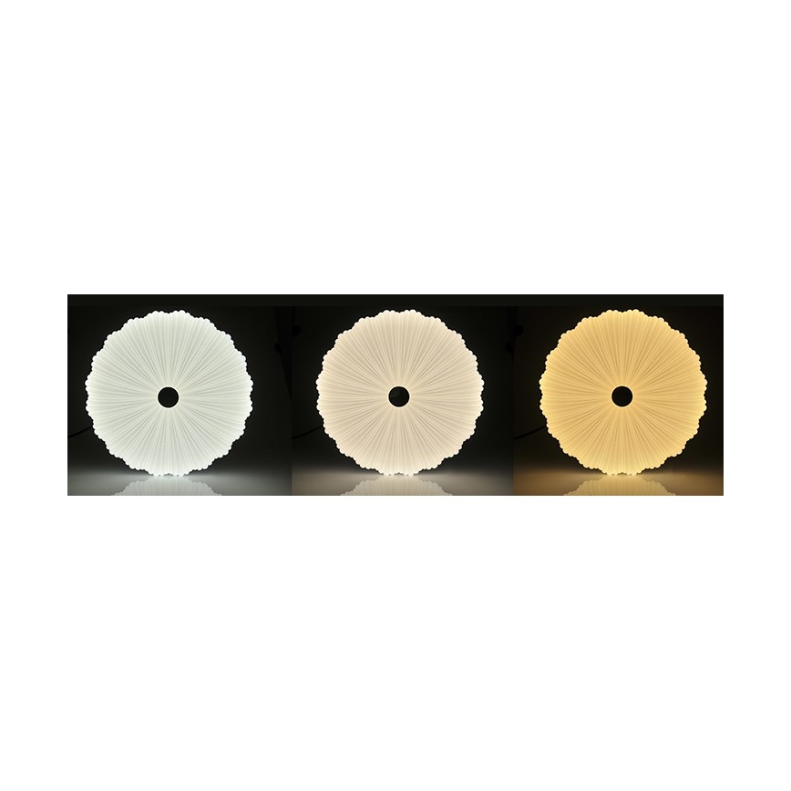 Plafoniera LED dimmerabile FLOWER LED/36W/230V + Telecomando