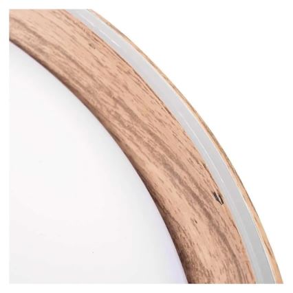Plafoniera dimmerabile a LED ILVI LED/30W/230V 2700-6500K Ø 40 cm beige + telecomando