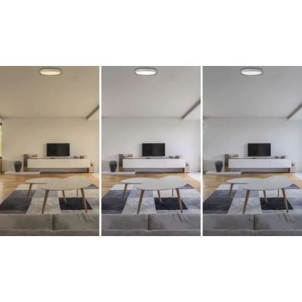Lampada da soffitto LED dimmerabile ILVI LED/30W/230V 2700-6500K Ø 40 cm bianco/beige + telecomando