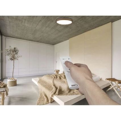 Plafoniera LED dimmerabile ILVI LED/45W/230V 2700-6500K Ø 50 cm beige + telecomando