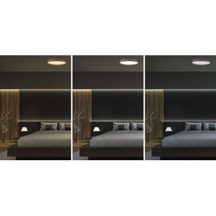 Plafoniera LED dimmerabile ILVI LED/45W/230V 2700-6500K Ø 50 cm beige + telecomando