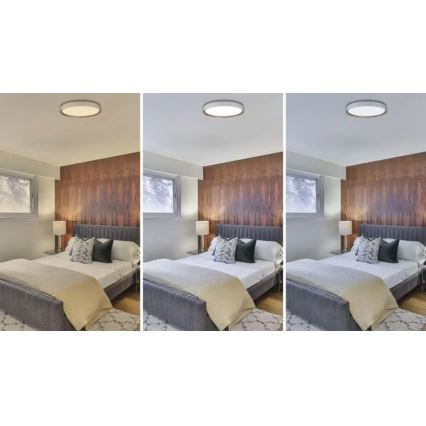 Plafoniera LED dimmerabile ILVI LED/45W/230V 2700-6500K Ø 50 cm bianco/beige + con telecomando