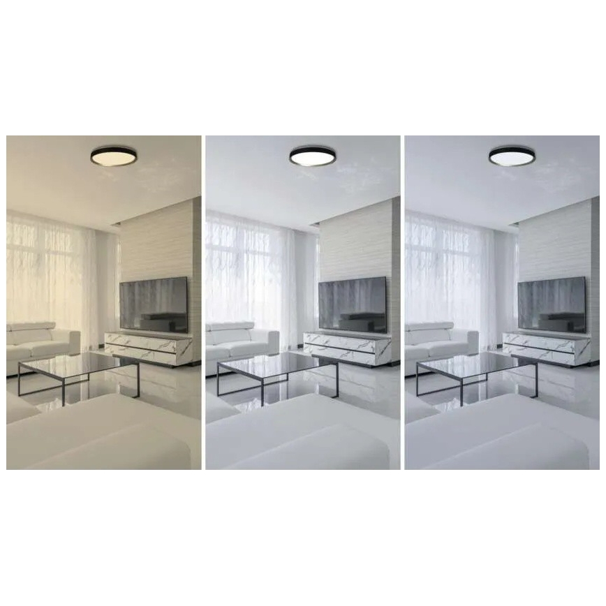 Plafoniera LED dimmerabile ILVI 45W/230V 2700-6500K Ø 50 cm nero/ottone + telecomando