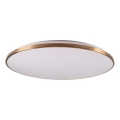 Plafoniera LED dimmerabile KERN LED/80W/230V 3000/4000/6000K Ø 80 cm dorata + telecomando