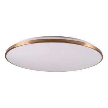 Plafoniera LED dimmerabile KERN LED/80W/230V 3000/4000/6000K Ø 80 cm dorata + telecomando