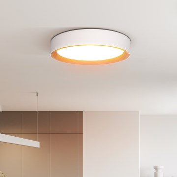 Plafoniera LED dimmerabile LARIOS LED/48W/230V 3000-6500K diametro 39 cm bianco + telecomando