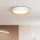 Plafoniera LED dimmerabile LARIOS LED/48W/230V 3000-6500K diametro 39 cm bianco + telecomando