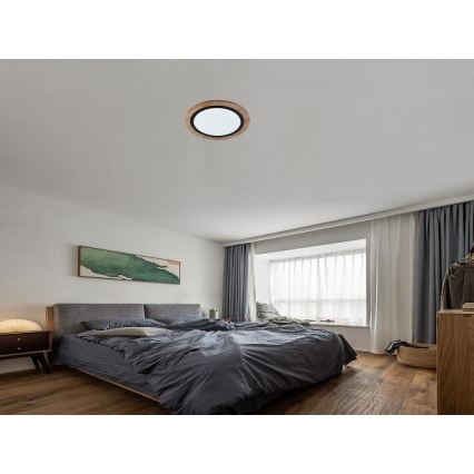 Plafoniera LED dimmerabile LED/25W/230V 3000-6500K + telecomando