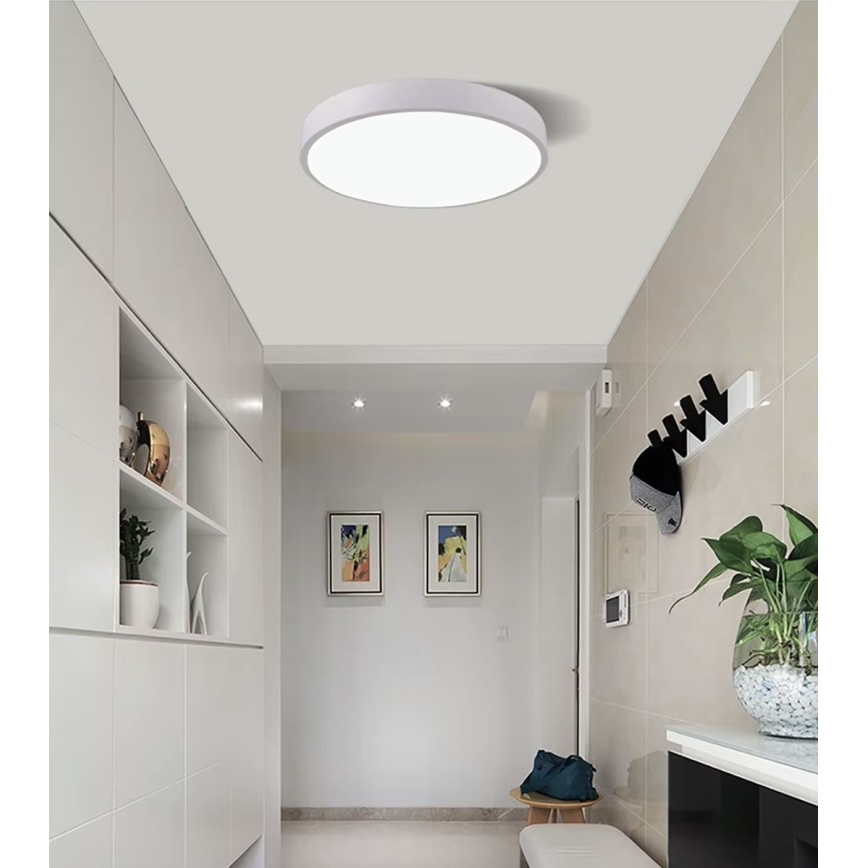 Plafoniera LED dimmerabile LED/30W/230V 3000-6500K diametro 30 cm bianco + telecomando