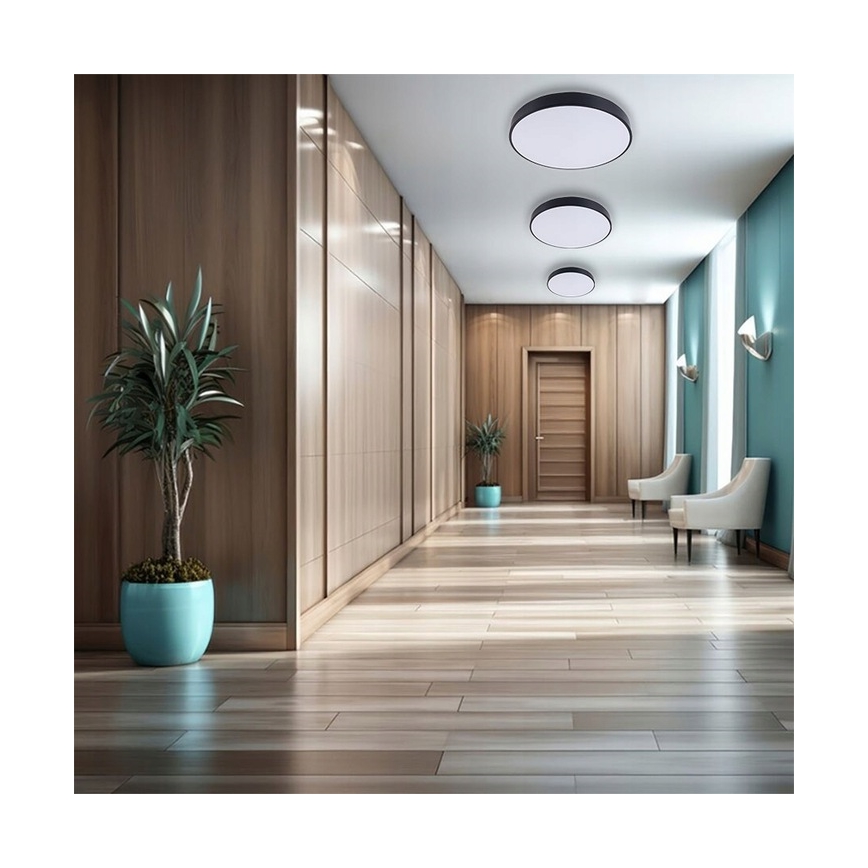 Plafoniera LED dimmerabile LED/30W/230V 3000-6500K diametro 30 cm nero + telecomando