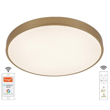 Plafoniera LED dimmerabile LED/48W/230V 2700-6500K Wi-Fi Tuya + telecomando