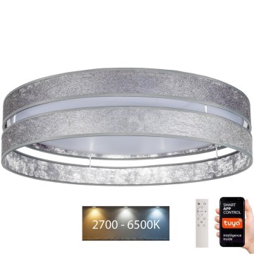 Plafoniera LED dimmerabile LIMA LED/36W/230V 2700-6500K Wi-Fi Tuya + telecomando argento