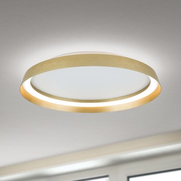 Plafoniera LED dimmerabile MANTA LED/38W/230V 2700/3000/4000K diametro 45 cm oro