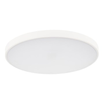 Plafoniera LED dimmerabile PLAFON LED/20W/230V 3000-6500K Wi-Fi bianco