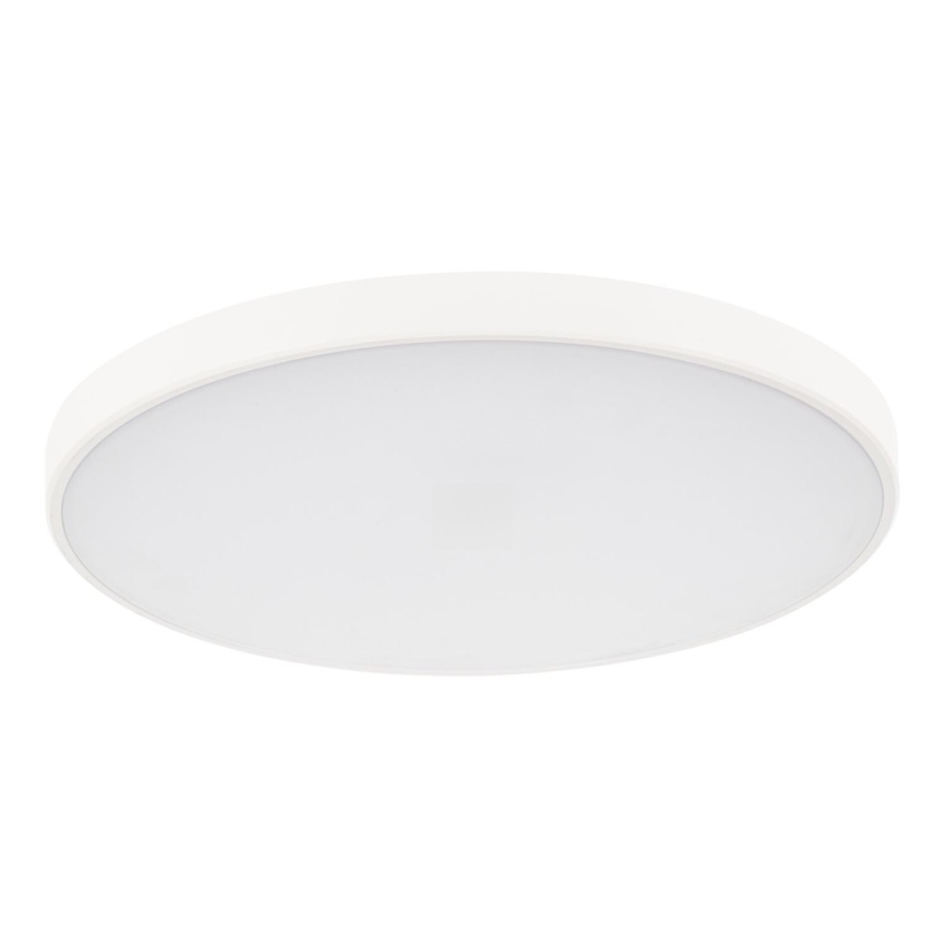 Plafoniera LED dimmerabile PLAFON LED/20W/230V 3000-6500K Wi-Fi bianco
