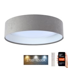 Plafoniera LED dimmerabile SMART GALAXY LED/24W/230V d. 45 cm 2700-6500K Wi-Fi Tuya grigio/bianco + telecomando