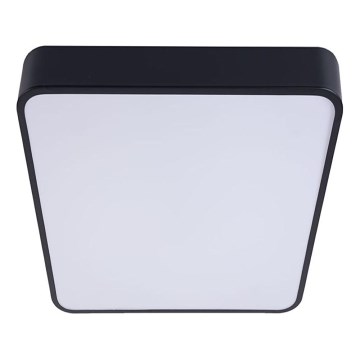 Plafoniera LED FELIZ LED/50W/230V 4000K 40x60 cm nero