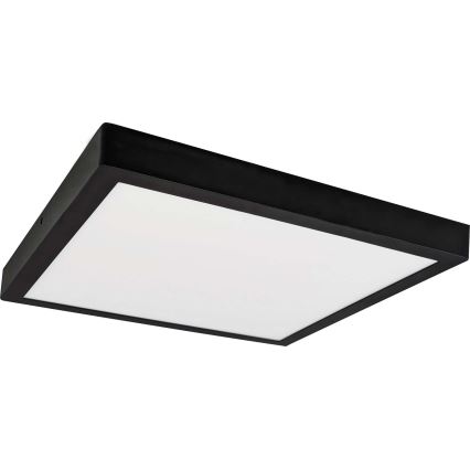 Plafoniera LED FENIX LED/32W/230V 3800K