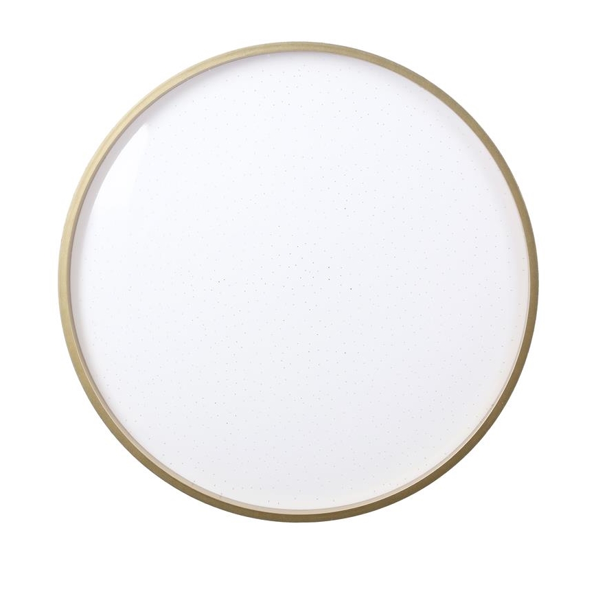 Plafoniera LED FLORIDA LED/18W/230V nero