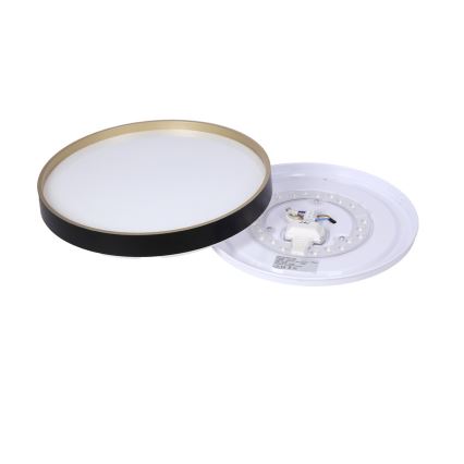 Plafoniera LED FLORIDA LED/18W/230V nero