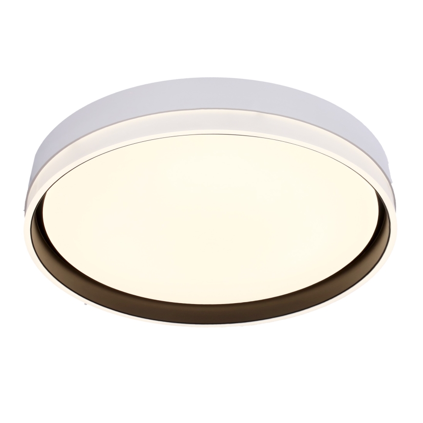 Plafoniera LED FLORIDA LED/24W/230V bianco