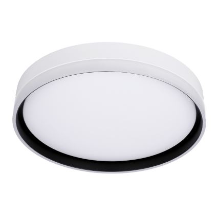 Plafoniera LED FLORIDA LED/24W/230V bianco