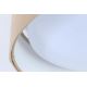 Plafoniera LED GALAXY 1xLED/24W/230V beige/bianca