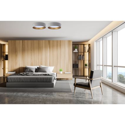 Plafoniera LED da soffitto GALAXY LED/24W/230V diam. 44 cm grigio/oro