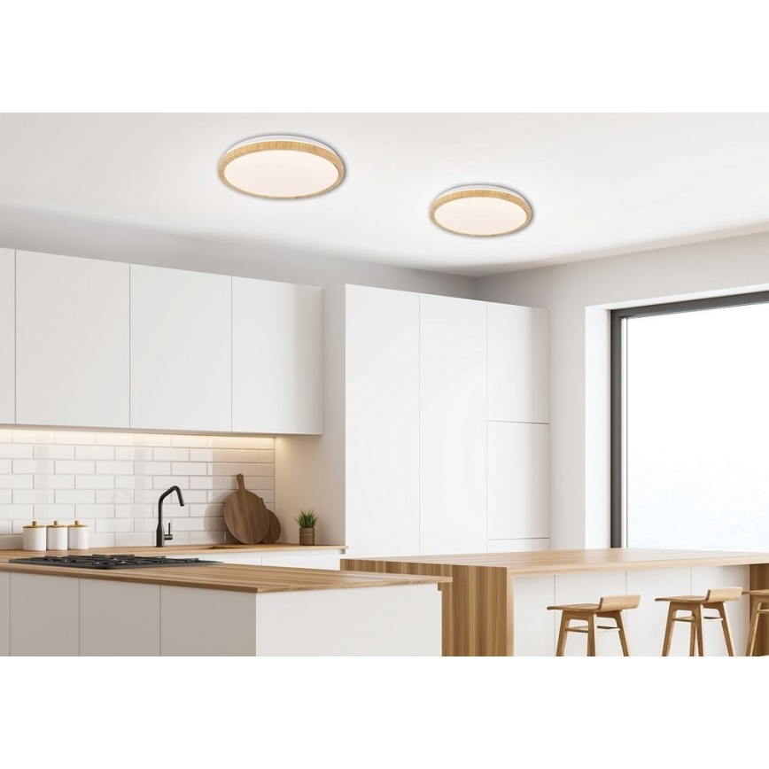 Plafoniera LED GANDAVA LED/24W/230V