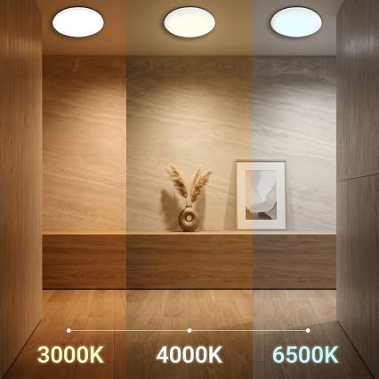 Plafoniera LED HUGO, 12/18/24W, 230V, 3000/4000/6500K, Ø 30 cm, IP54, bianca