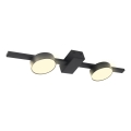 Plafoniera LED JOY 2xGX53/6W/230V nero
