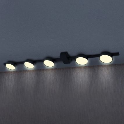 Plafoniera LED JOY 5xGX53/6W/230V nero