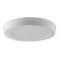 Plafoniera LED LED/12W/230V 6500K diametro 16,7 cm bianco