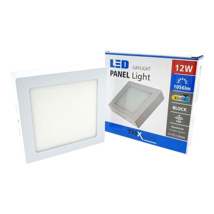 Plafoniera LED LED/12W/230V 6500K