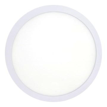 Plafoniera LED LED/18W/230V 4200K diametro 21 cm bianco