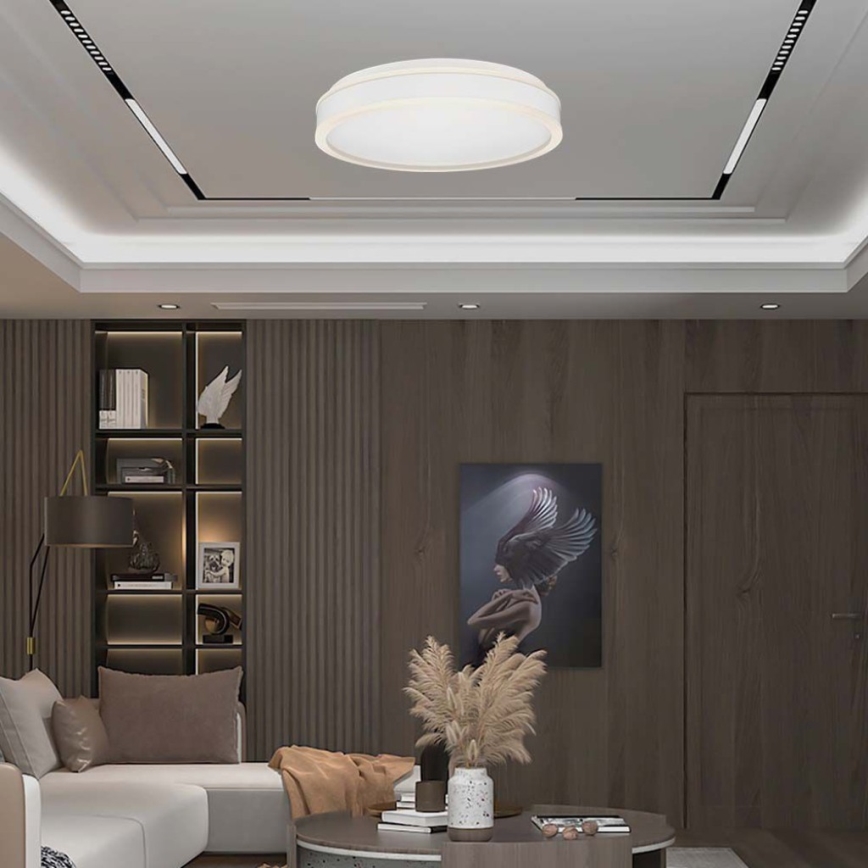 Plafoniera LED LED/24W/230V 4000K bianco